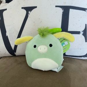 Juniper Clip on Squishmallow